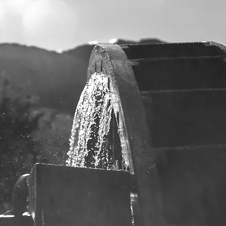 Oki * Trebinje